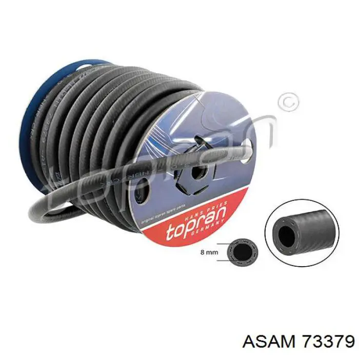 73379 Asam