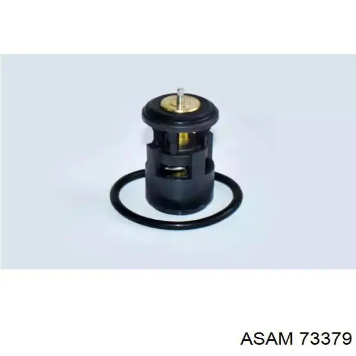 Купить 73379 Asam Автомобильный термостат