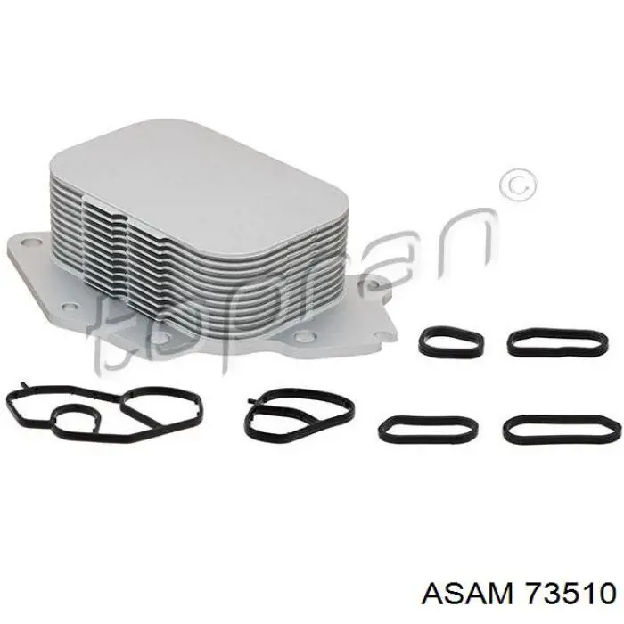 73510 Asam