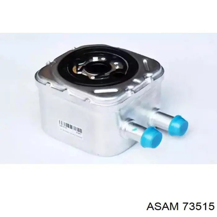 73515 Asam