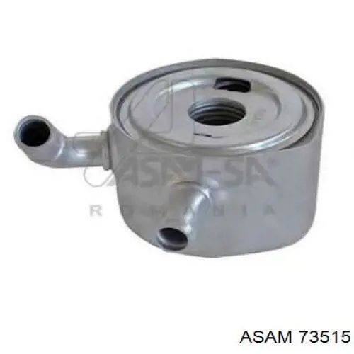 73515 Asam