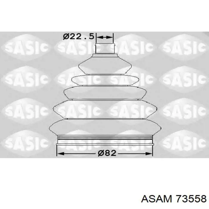 73558 Asam