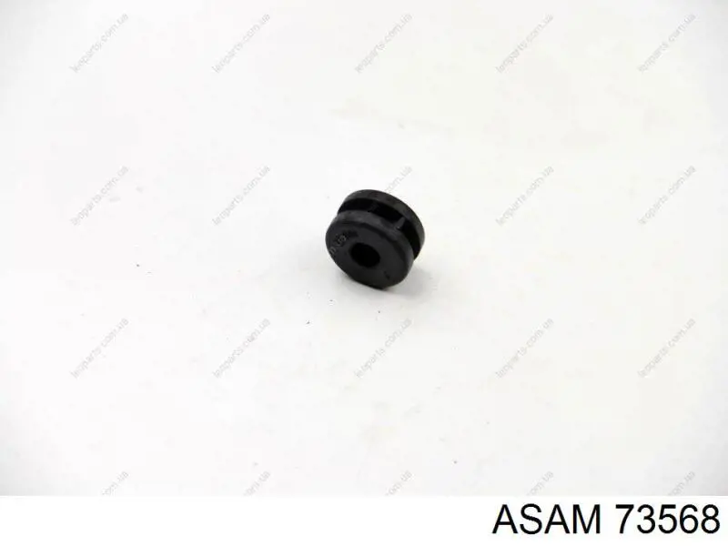 73568 Asam