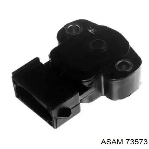 73573 Asam