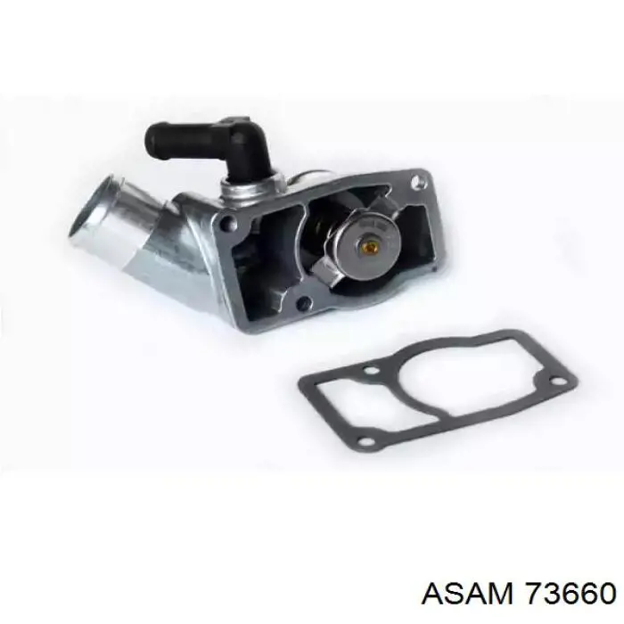 73660 Asam