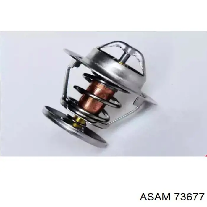 Термостат 73677 Asam