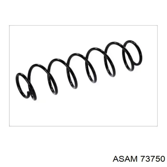 Задняя пружина 73750 Asam