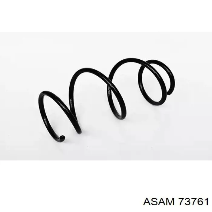 Задняя пружина 73761 Asam