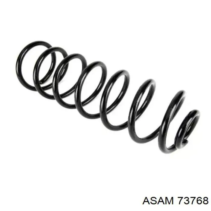 Задняя пружина 73768 Asam