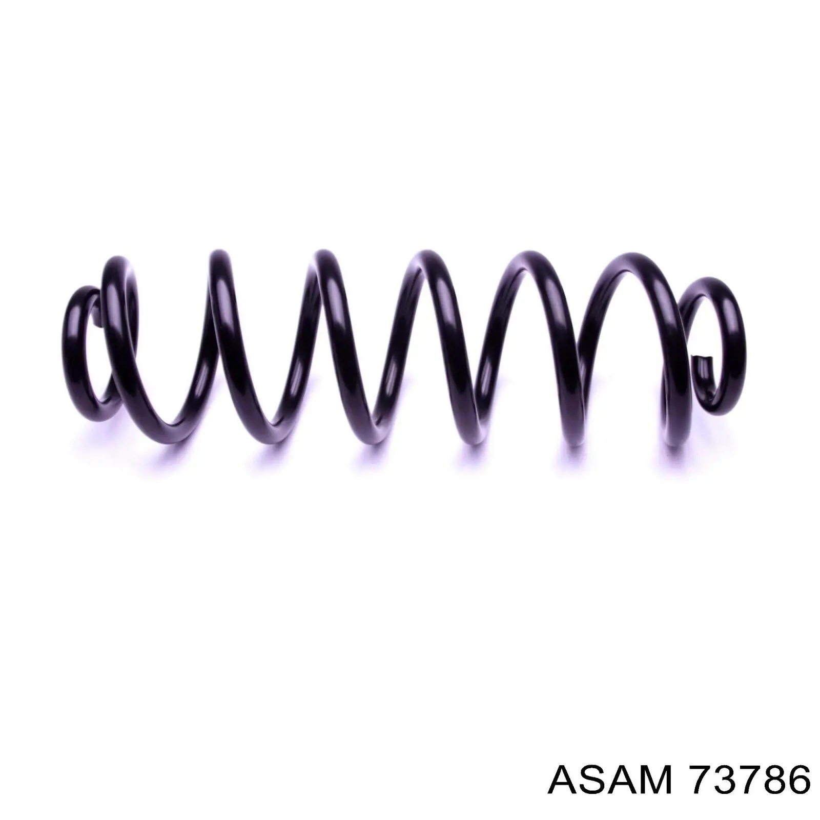 Задняя пружина 73786 Asam