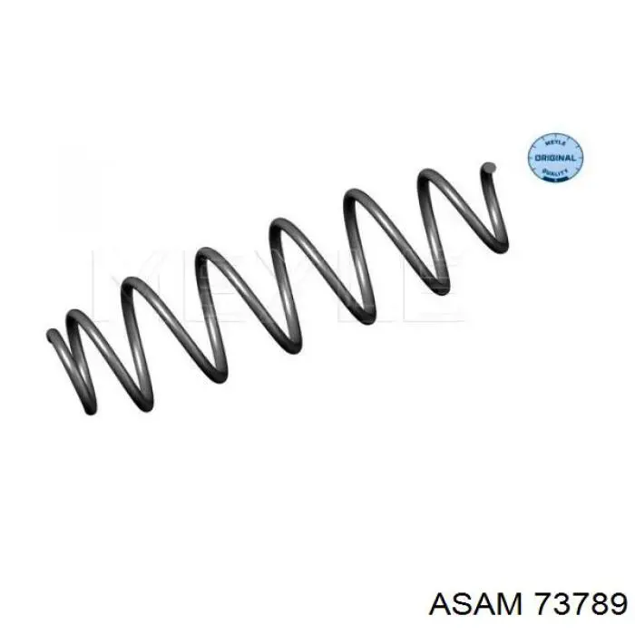 Задняя пружина 73789 Asam