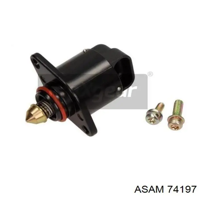 74197 Asam