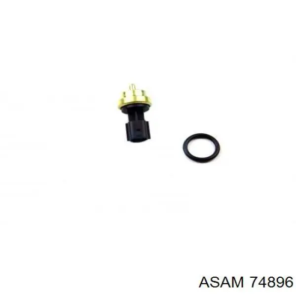 74896 Asam