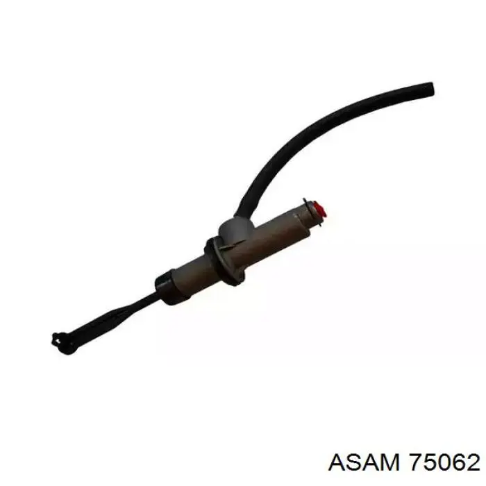 75062 Asam