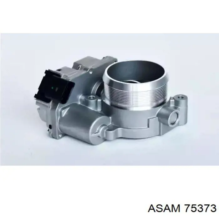 75373 Asam Дроссельная заслонка
