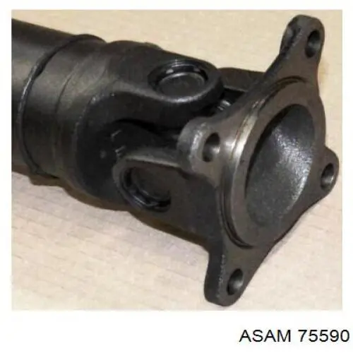 75590 Asam