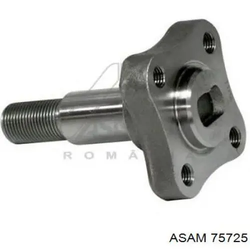 Передняя ступица 75725 Asam