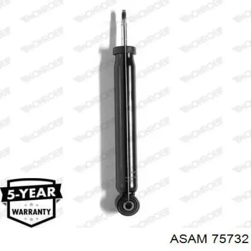 75732 Asam Амортизаторы задние