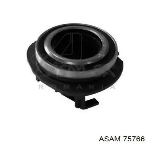 75766 Asam