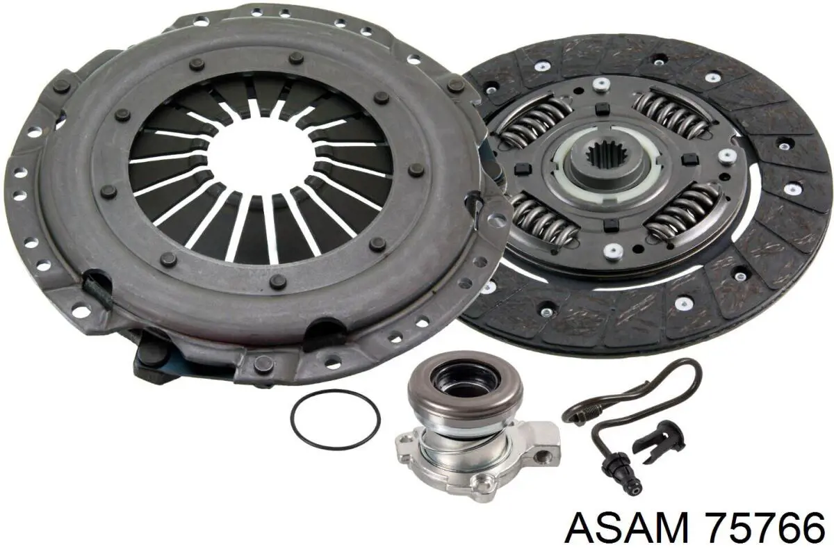 75766 Asam