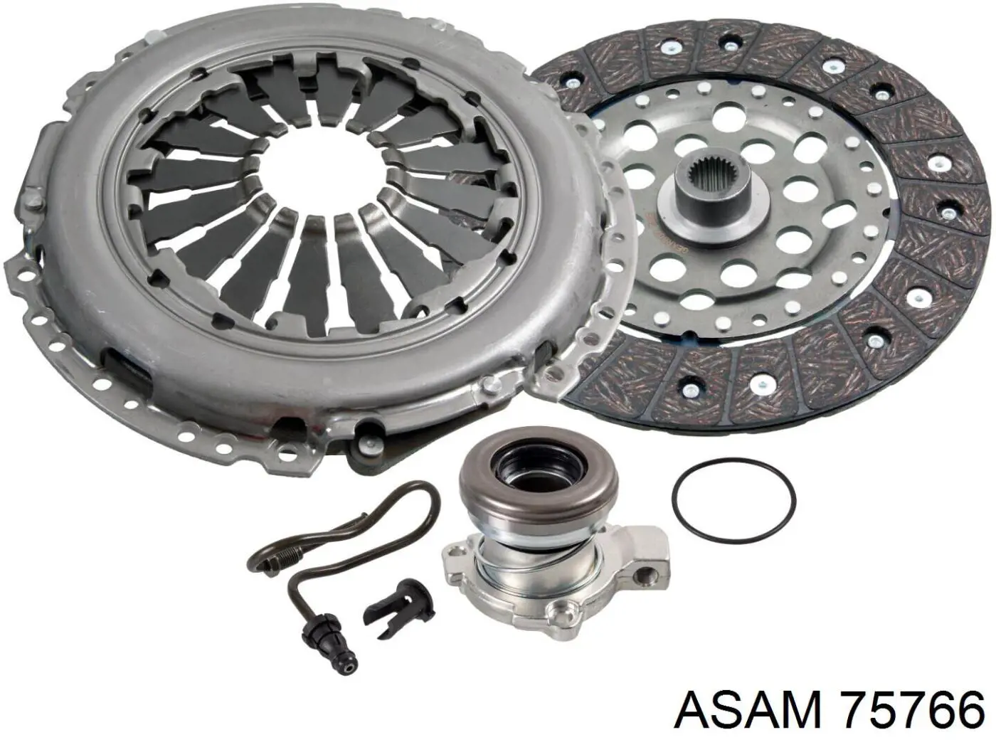 75766 Asam