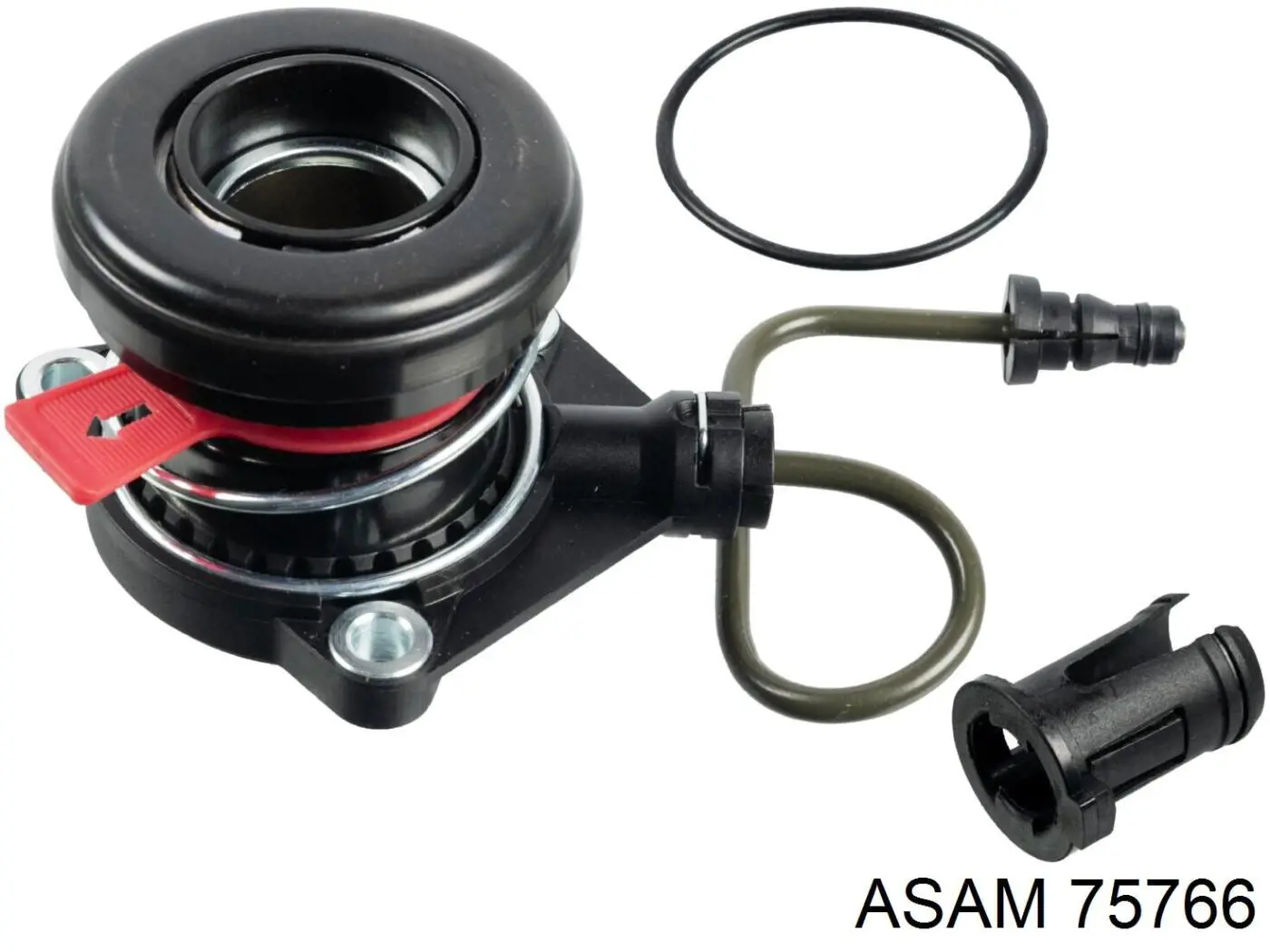 75766 Asam