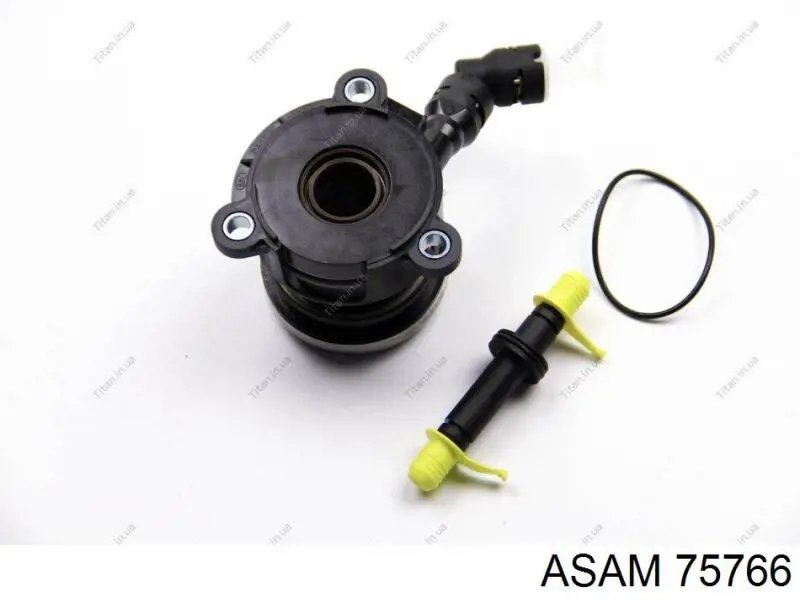 75766 Asam