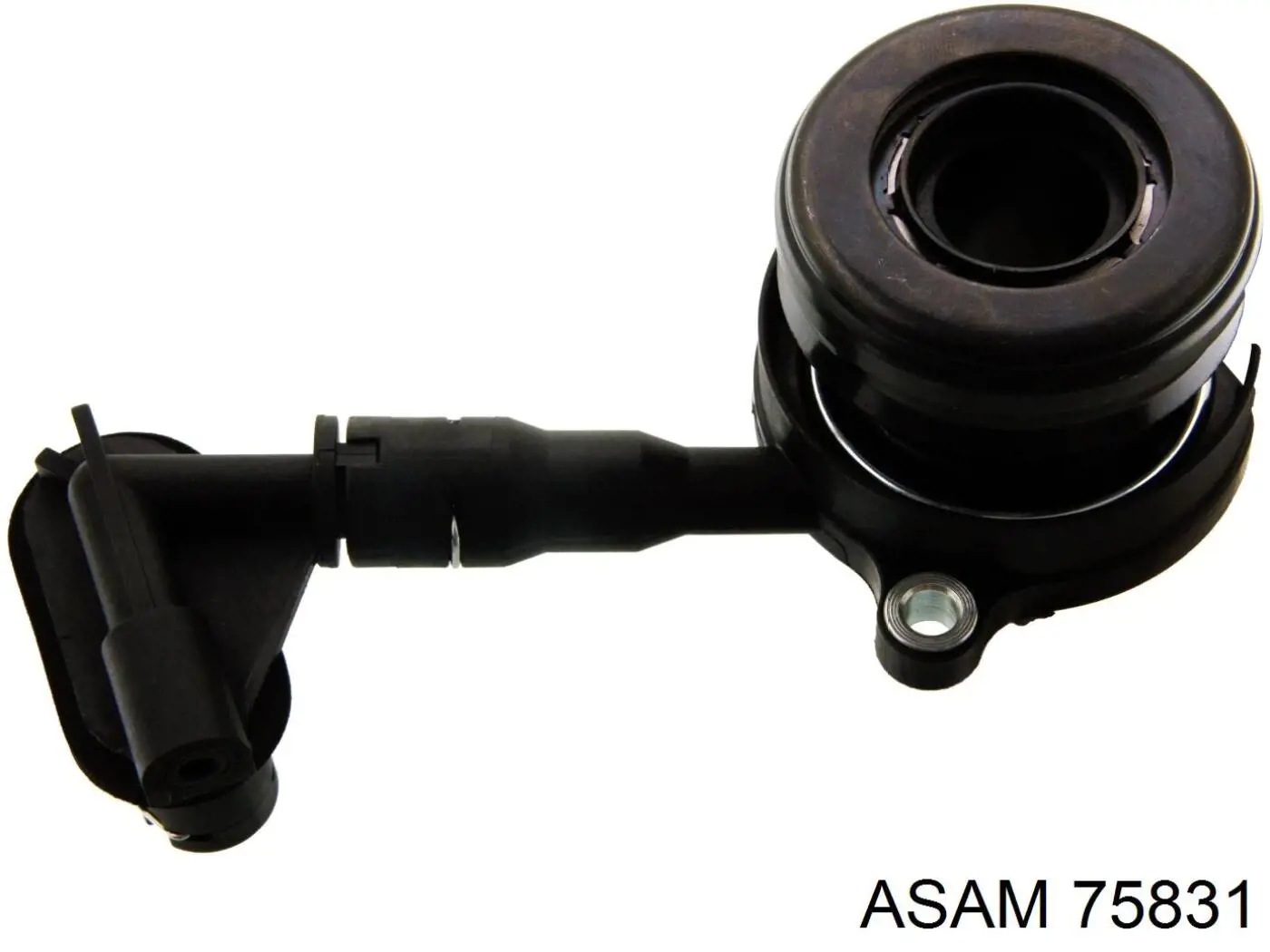 75831 Asam