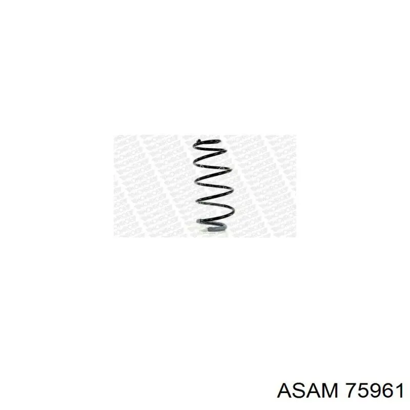 Пружина амортизатора передняя Asam 75961 цена, от 19.54 USD
