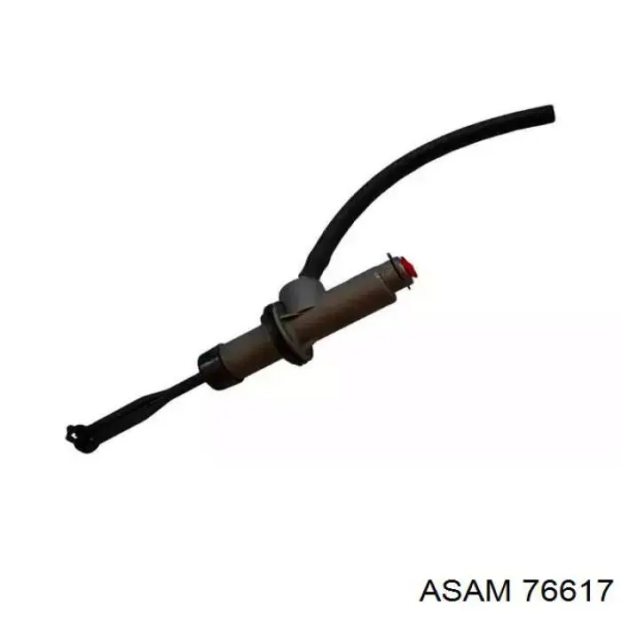 76617 Asam