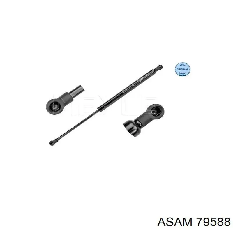 Амортизатор задней двери Asam 79588 цена, от 10.18 USD