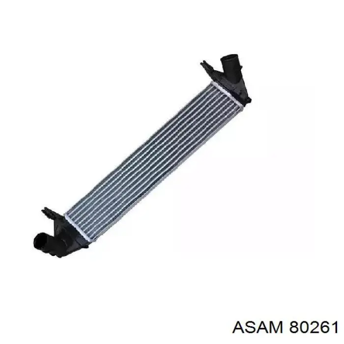 Купить 80261 Asam Интеркулер