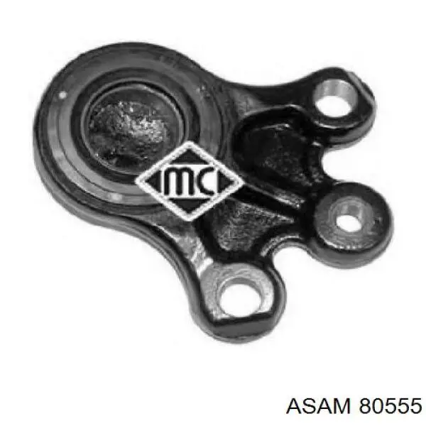 80555 Asam