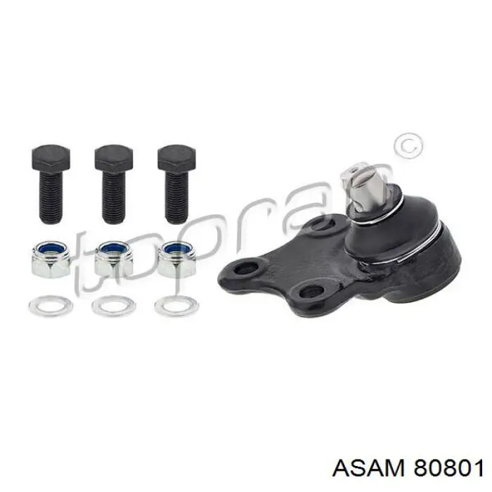 Шаровая опора, нижняя Asam 80801 цена, от 8.05 USD