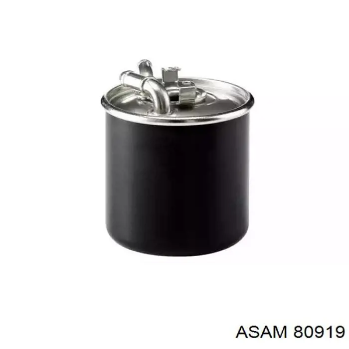 80919 Asam топливный фильтр