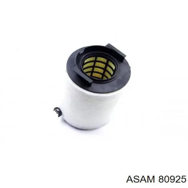 Топливный фильтр 80925 Asam