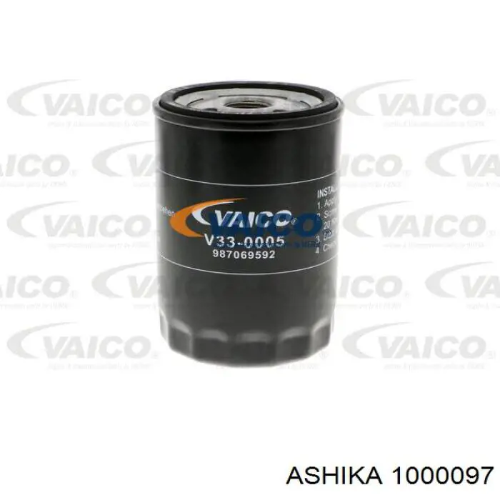 1000097 Ashika