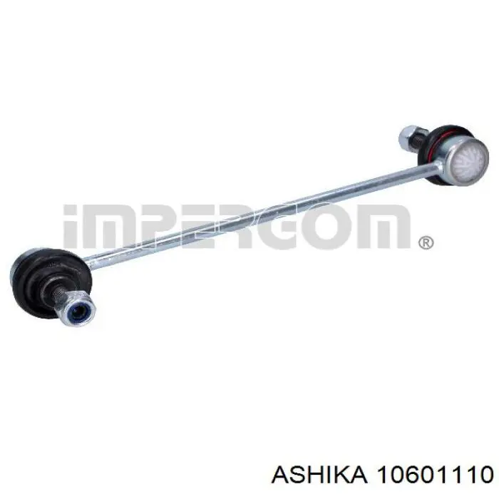 10601110 Ashika