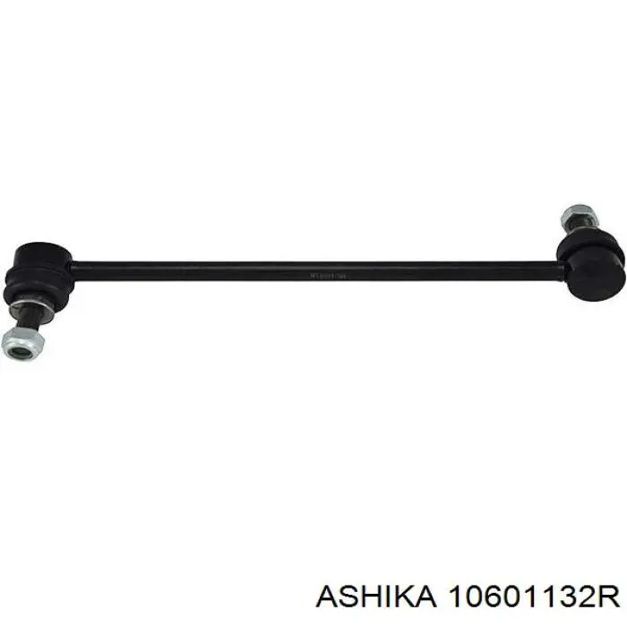 10601132R Ashika