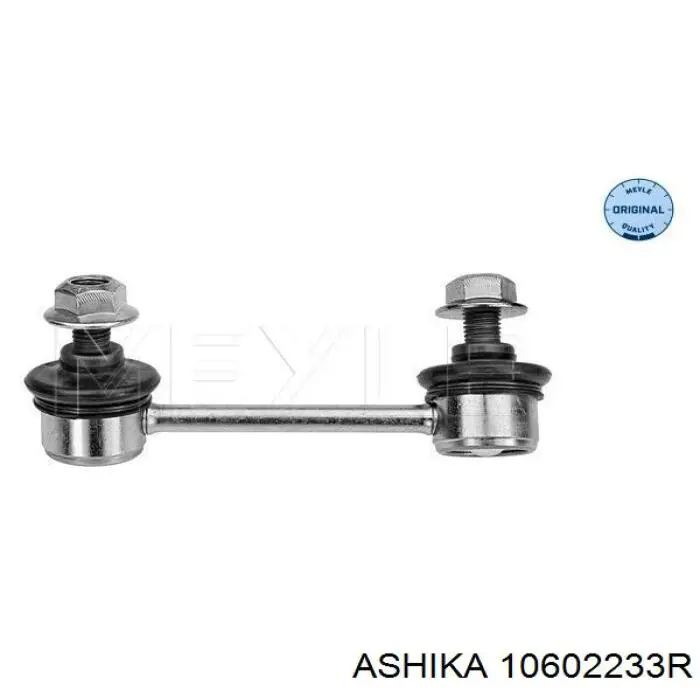 10602233R Ashika