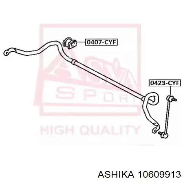 10609913 Ashika