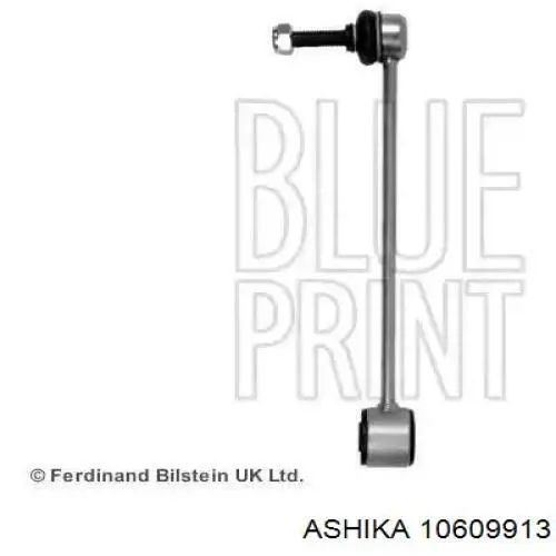 10609913 Ashika