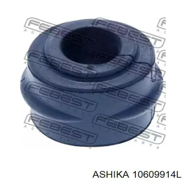 10609914L Ashika
