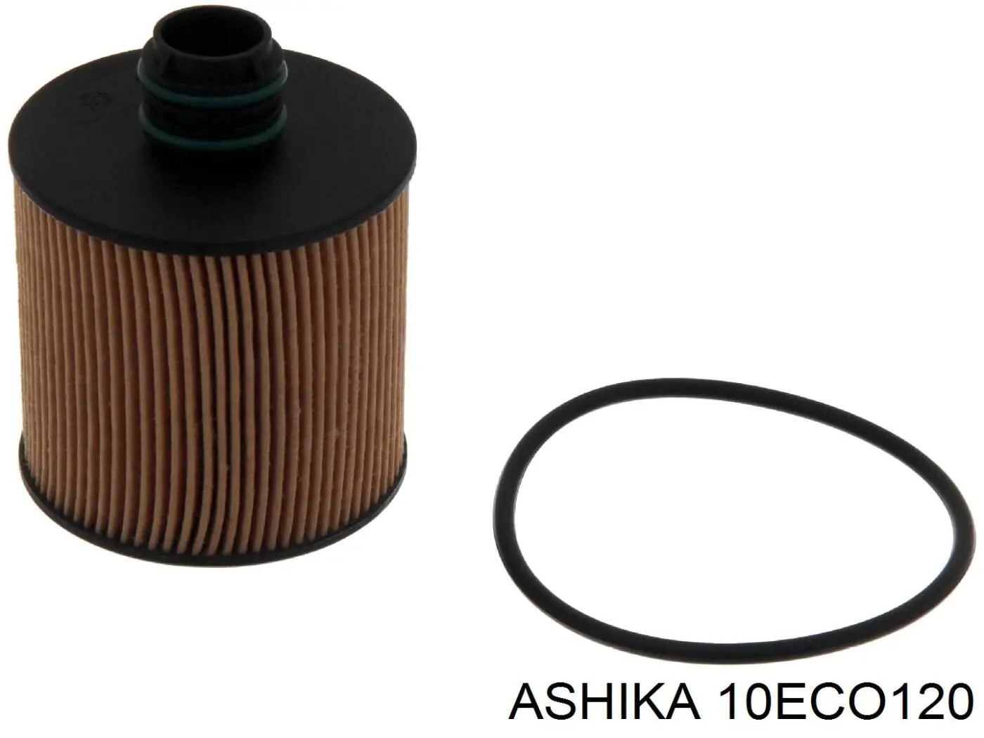 10ECO120 Ashika