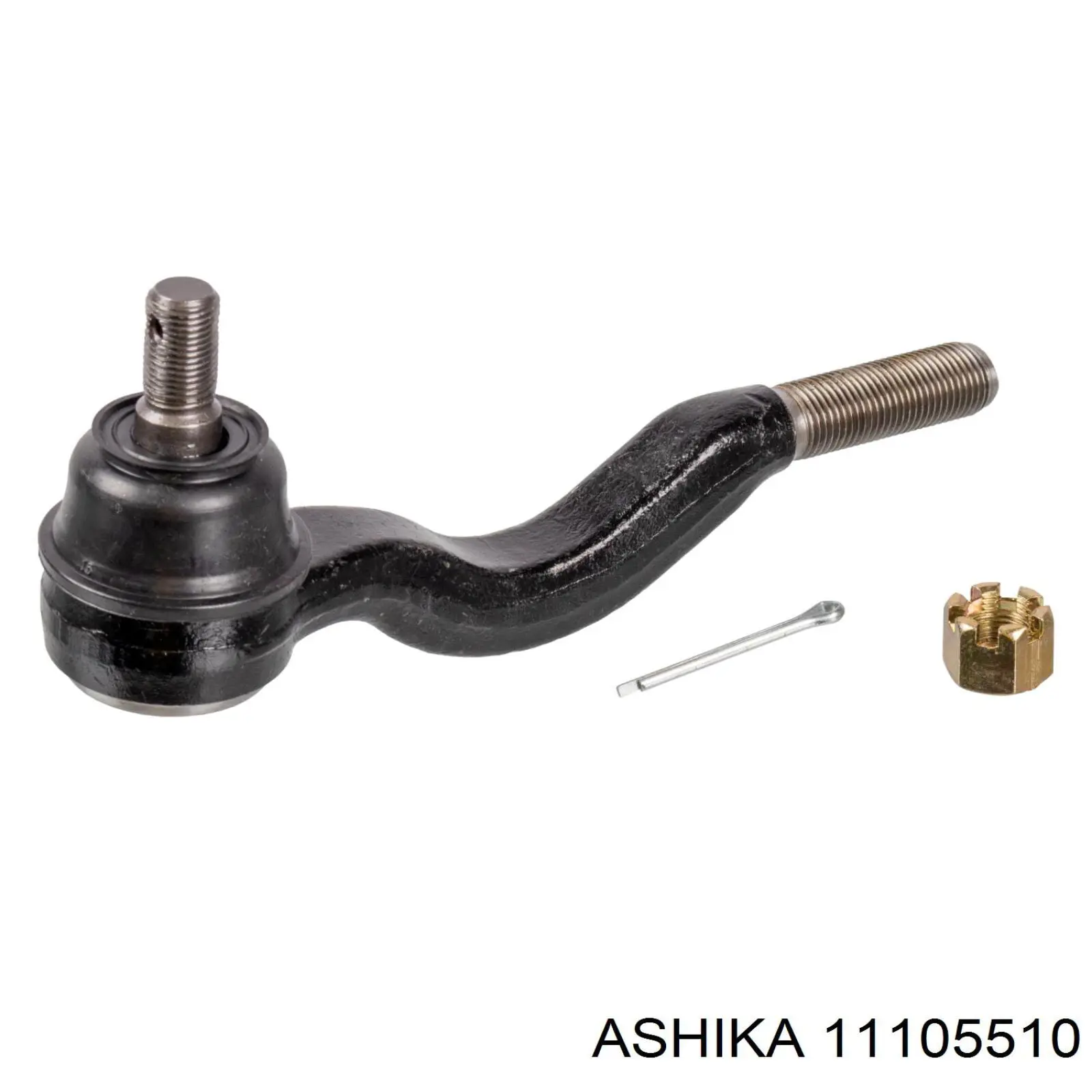 11105510 Ashika
