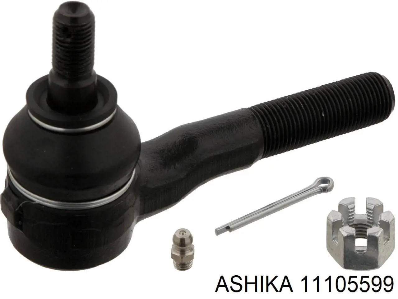 11105599 Ashika