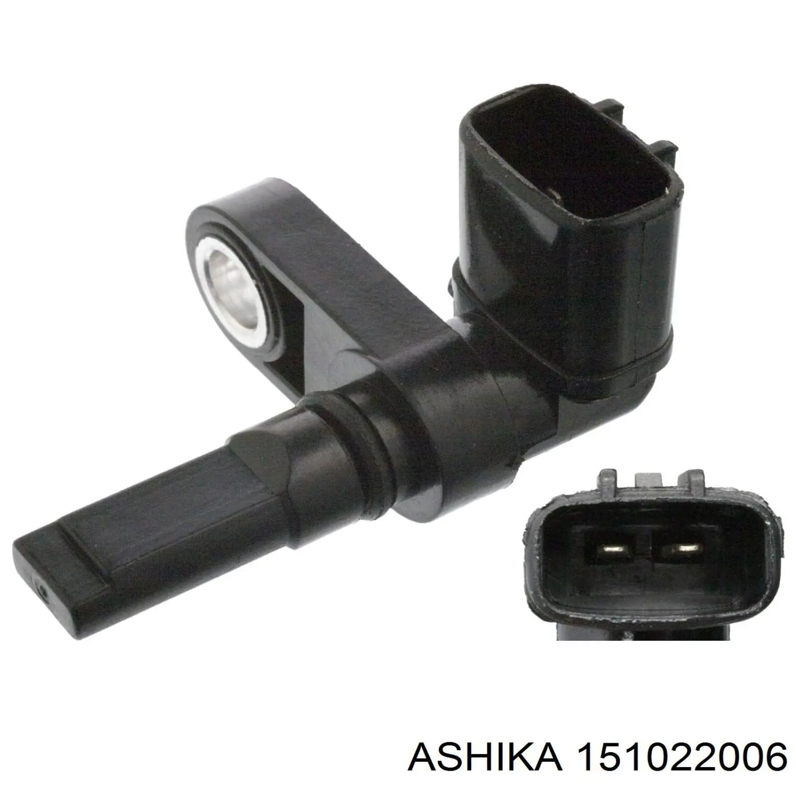 151022006 Ashika