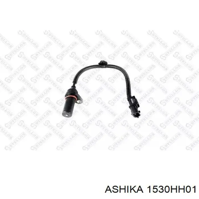 1530HH01 Ashika ДПКВ