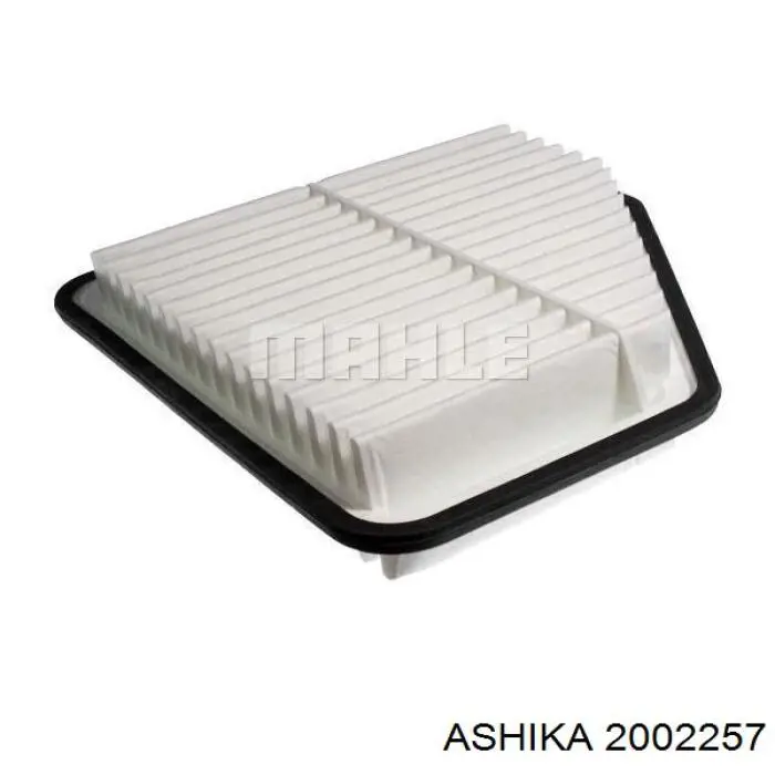 Filtro aire 2002257 Ashika