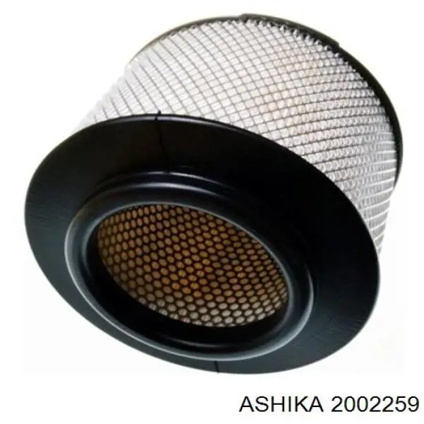 Filtro de aire 2002259 Ashika